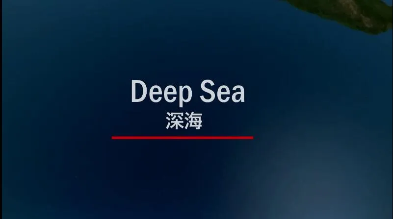 综合篇